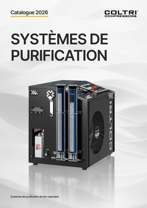 Purification system