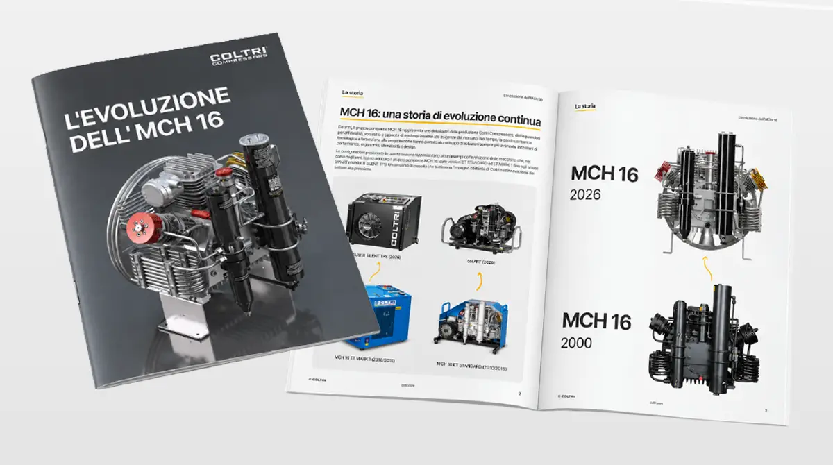 The Evolution of the MCH 16 in a New Catalog